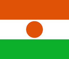 Niger flag