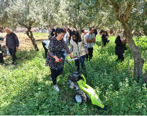 Advancing public private and people partnership (PPPP) for small scale mechanization in Tunisia: a milestone towards enhanced farm and landscape management.