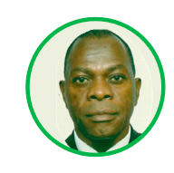 Prof H Mloza-Banda - Panellist