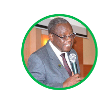 Prof Patrick J. Makungu - Panellist