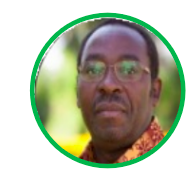 Eng. Saidi Mkomwa - Technical Secretary